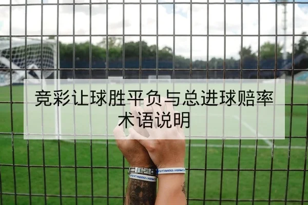 竞彩让球胜平负与总进球赔率术语说明